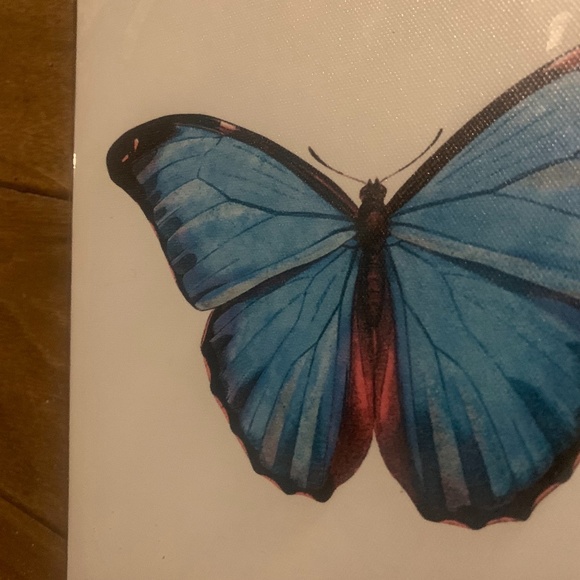 🦋 NWT Butterfly Canvas Painting Print Wall Art Home Decor Accent Nature - Picture 5 of 6